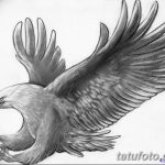 фото Эскизы тату орёл от 21.10.2017 №112 - Sketches of an eagle tattoo - tatufoto.com