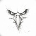 фото Эскизы тату орёл от 21.10.2017 №115 - Sketches of an eagle tattoo - tatufoto.com