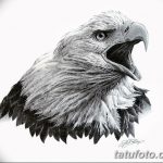 фото Эскизы тату орёл от 21.10.2017 №116 - Sketches of an eagle tattoo - tatufoto.com