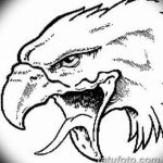 фото Эскизы тату орёл от 21.10.2017 №118 - Sketches of an eagle tattoo - tatufoto.com