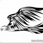 фото Эскизы тату орёл от 21.10.2017 №119 - Sketches of an eagle tattoo - tatufoto.com