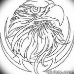 фото Эскизы тату орёл от 21.10.2017 №120 - Sketches of an eagle tattoo - tatufoto.com