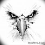 фото Эскизы тату орёл от 21.10.2017 №124 - Sketches of an eagle tattoo - tatufoto.com