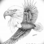 фото Эскизы тату орёл от 21.10.2017 №125 - Sketches of an eagle tattoo - tatufoto.com