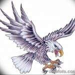 фото Эскизы тату орёл от 21.10.2017 №127 - Sketches of an eagle tattoo - tatufoto.com