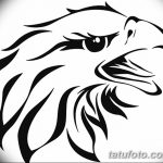 фото Эскизы тату орёл от 21.10.2017 №128 - Sketches of an eagle tattoo - tatufoto.com