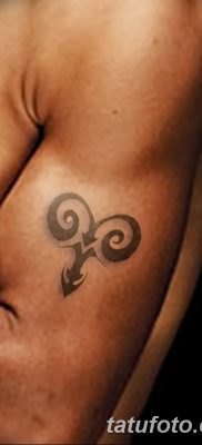 фото тату Овен от 21.10.2017 №002 — tattoo Aries — tatufoto.com