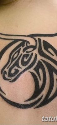 фото тату Овен от 21.10.2017 №004 — tattoo Aries — tatufoto.com