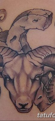 фото тату Овен от 21.10.2017 №005 — tattoo Aries — tatufoto.com
