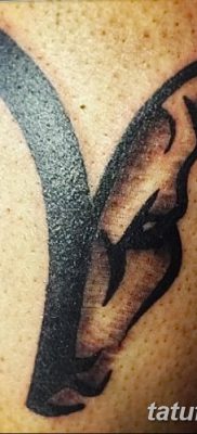 фото тату Овен от 21.10.2017 №011 — tattoo Aries — tatufoto.com