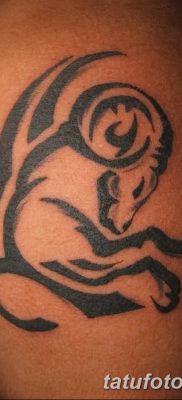 фото тату Овен от 21.10.2017 №013 — tattoo Aries — tatufoto.com