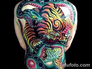 Фото тату на спине с изображением сражающегося тигра и змеи в японском стиле: яркие цвета, детализированные изображения, динамичная композиция.