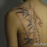 фото тату бамбук от 18.10.2017 №014 - tattoo bamboo - tatufoto.com