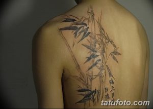 Фото тату: рисунок бамбука в акварельной технике с добавлением иероглифов на спине. Эскиз татуировки выполнен в мягких тонах с использованием черного и коричневого цветов.