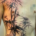 фото тату бамбук от 18.10.2017 №017 - tattoo bamboo - tatufoto.com