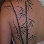 фото тату бамбук от 18.10.2017 №025 - tattoo bamboo - tatufoto.com