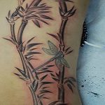 фото тату бамбук от 18.10.2017 №029 - tattoo bamboo - tatufoto.com