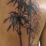 фото тату бамбук от 18.10.2017 №039 - tattoo bamboo - tatufoto.com
