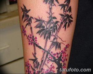фото тату бамбук от 18.10.2017 №042 - tattoo bamboo - tatufoto.com