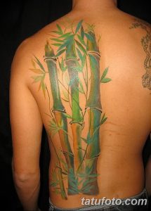 фото тату бамбук от 18.10.2017 №048 - tattoo bamboo - tatufoto.com