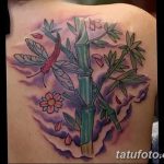 фото тату бамбук от 18.10.2017 №060 - tattoo bamboo - tatufoto.com