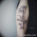 фото тату бамбук от 18.10.2017 №063 - tattoo bamboo - tatufoto.com
