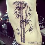 фото тату бамбук от 18.10.2017 №064 - tattoo bamboo - tatufoto.com