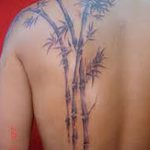 фото тату бамбук от 18.10.2017 №075 - tattoo bamboo - tatufoto.com
