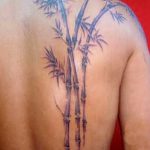 фото тату бамбук от 18.10.2017 №081 - tattoo bamboo - tatufoto.com