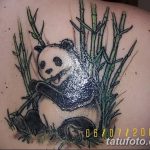 фото тату бамбук от 18.10.2017 №082 - tattoo bamboo - tatufoto.com