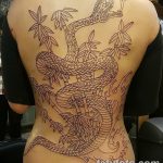 фото тату бамбук от 18.10.2017 №088 - tattoo bamboo - tatufoto.com
