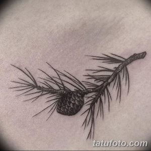 Фотография реалистичной татуировки, изображающей сосновую ветку с шишкой. Детализированный рисунок с использованием оттенков серого и коричневого.