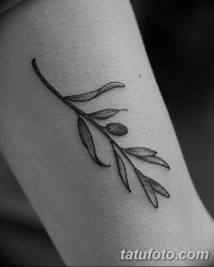 Фото тату: небольшая оливковая ветвь с плодами, выполненная в технике dotwork. Татуировка расположена на предплечье.