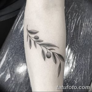 Фото тату: минималистичная оливковая ветвь с плодами, выполненная в технике blackwork. Татуировка расположена на предплечье.