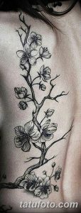 Фото тату ветви сакуры, выполненной в технике blackwork на спине. Детализированный рисунок с множеством мелких элементов.