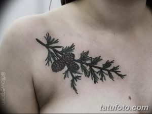 Фото тату на груди: реалистичная сосновая ветка с шишкой, выполненная в черном цвете с детальной проработкой.