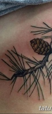 фото тату ветка от 11.10.2017 №125 — tattoo branch — tatufoto.com