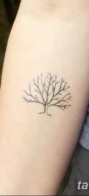 фото тату ветка от 11.10.2017 №129 — tattoo branch — tatufoto.com
