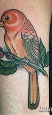 фото тату ветка от 11.10.2017 №158 — tattoo branch — tatufoto.com