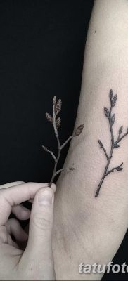фото тату ветка от 11.10.2017 №159 — tattoo branch — tatufoto.com
