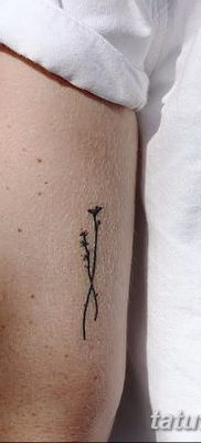 фото тату ветка от 11.10.2017 №162 — tattoo branch — tatufoto.com