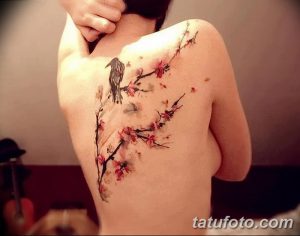 Фото тату: красивая акварельная татуировка цветущей ветки сакуры с сидящей на ней птицей на плече. Использованы нежные розовые и коричневые оттенки.