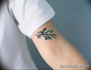 Фото тату: реалистичная цветная татуировка оливковой ветви с плодами на предплечье. Использованы зеленые, фиолетовые и коричневые оттенки.