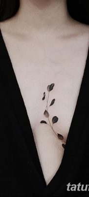 фото тату ветка от 11.10.2017 №184 — tattoo branch — tatufoto.com