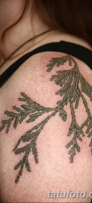фото тату ветка от 11.10.2017 №189 — tattoo branch — tatufoto.com