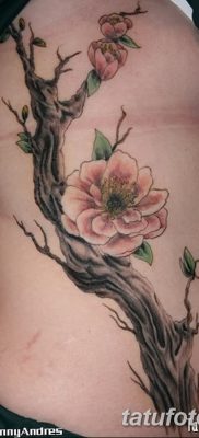 фото тату ветка от 11.10.2017 №198 — tattoo branch — tatufoto.com
