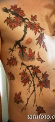 фото тату ветка от 11.10.2017 №206 — tattoo branch — tatufoto.com
