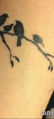 фото тату ветка от 11.10.2017 №207 — tattoo branch — tatufoto.com