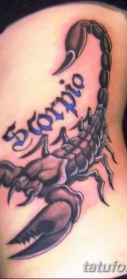 фото тату знак зодиака Скорпион от 21.10.2017 №005 — tattoo sign of the zodiac Scorpio