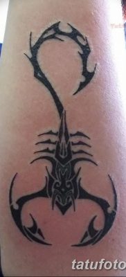 фото тату знак зодиака Скорпион от 21.10.2017 №013 — tattoo sign of the zodiac Scorpio